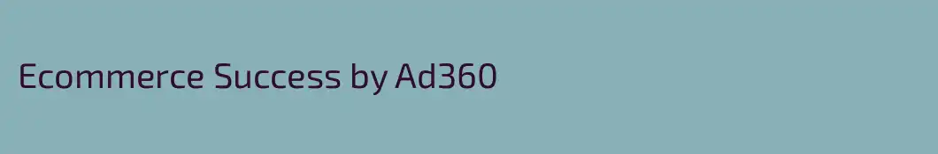 Ecommerce Success by Ad360